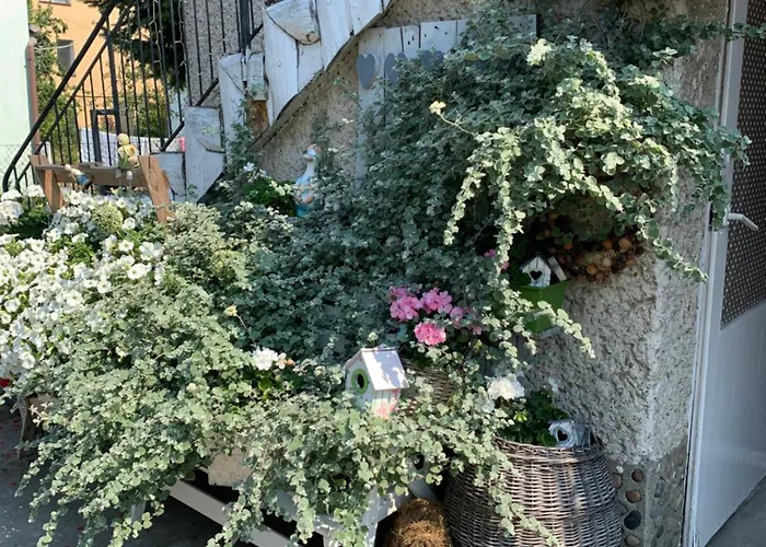 Tififi Jak Na Wloskiej Prowincji